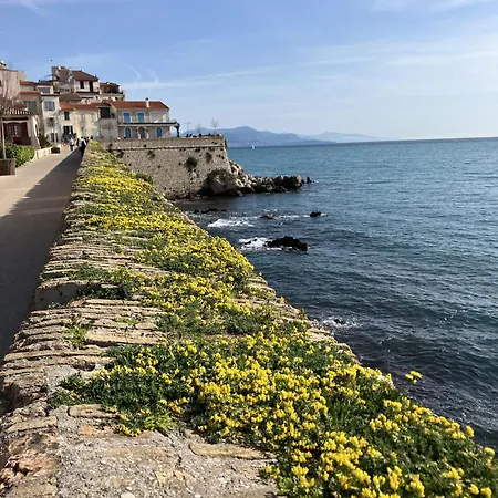 A Deux Pas Des Plages Et Au Coeur Du Vieil , Beau Renove Apartment Antibes