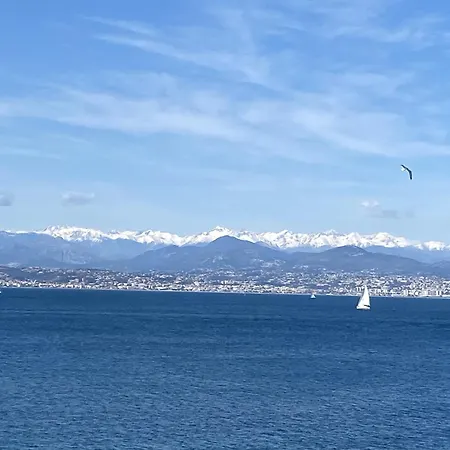 A Deux Pas Des Plages Et Au Coeur Du Vieil , Beau Renove 昂蒂布