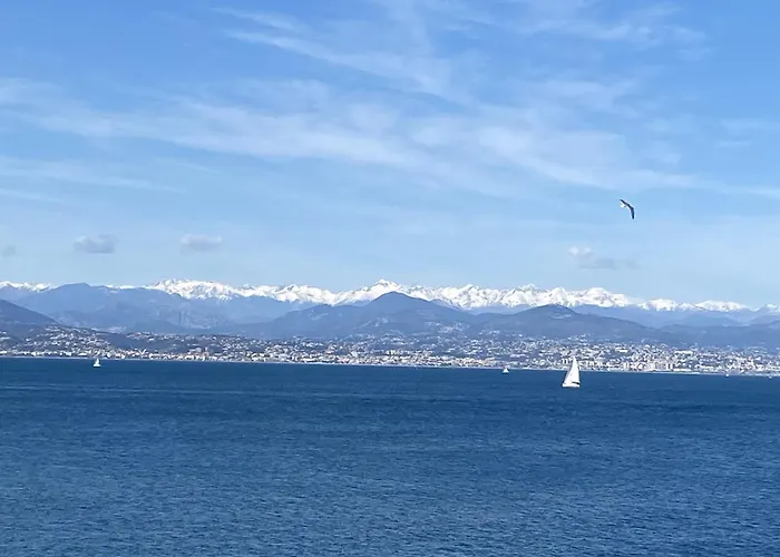 A Deux Pas Des Plages Et Au Coeur Du Vieil , Beau Renove アンティーブ