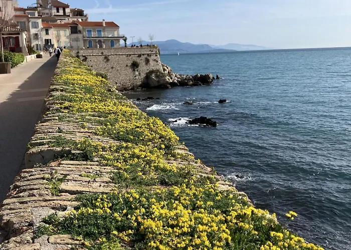 A Deux Pas Des Plages Et Au Coeur Du Vieil , Beau Renove Lägenhet Antibes